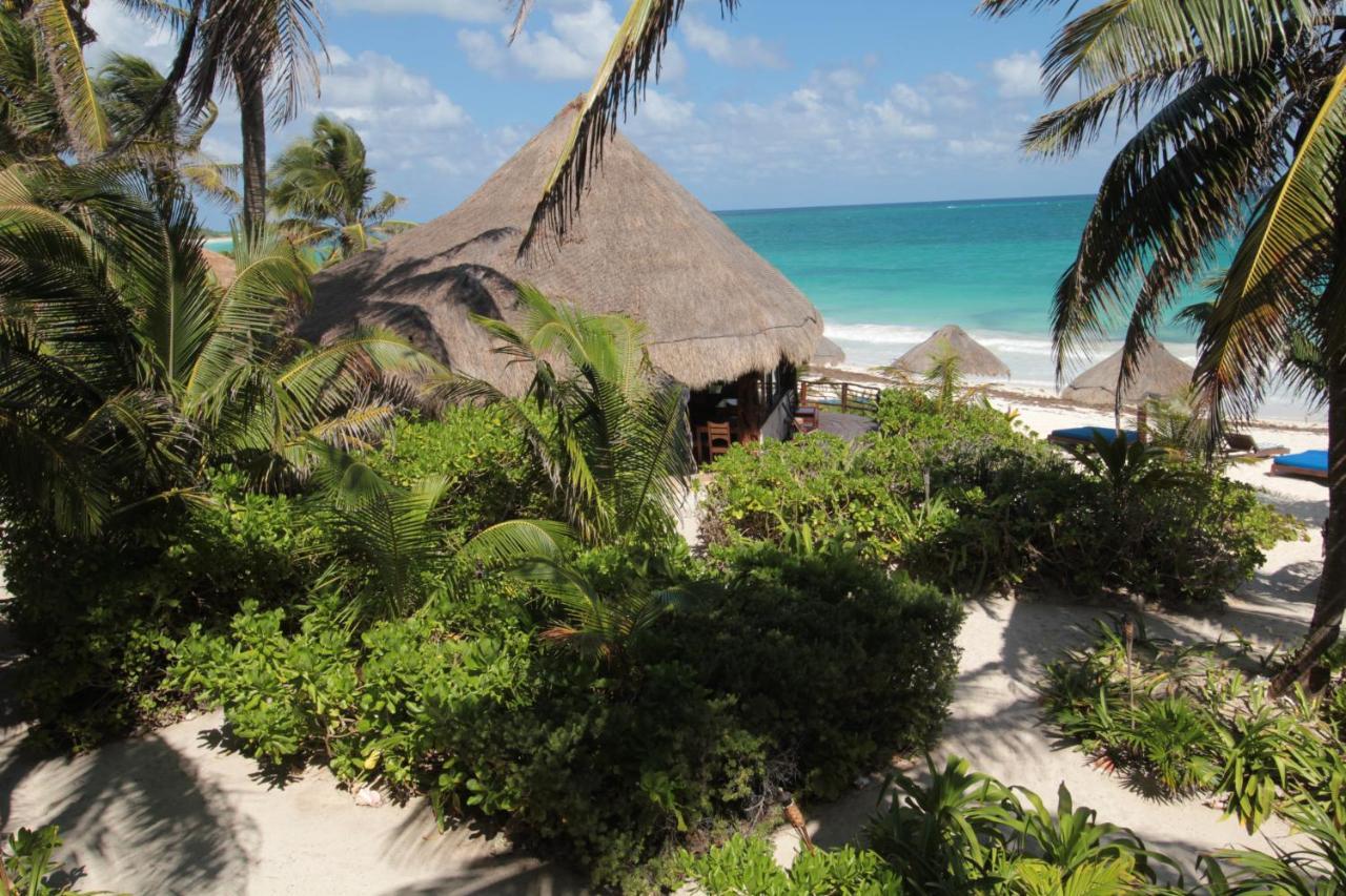 فندق Sol Caribe بونتا ألين المظهر الخارجي الصورة