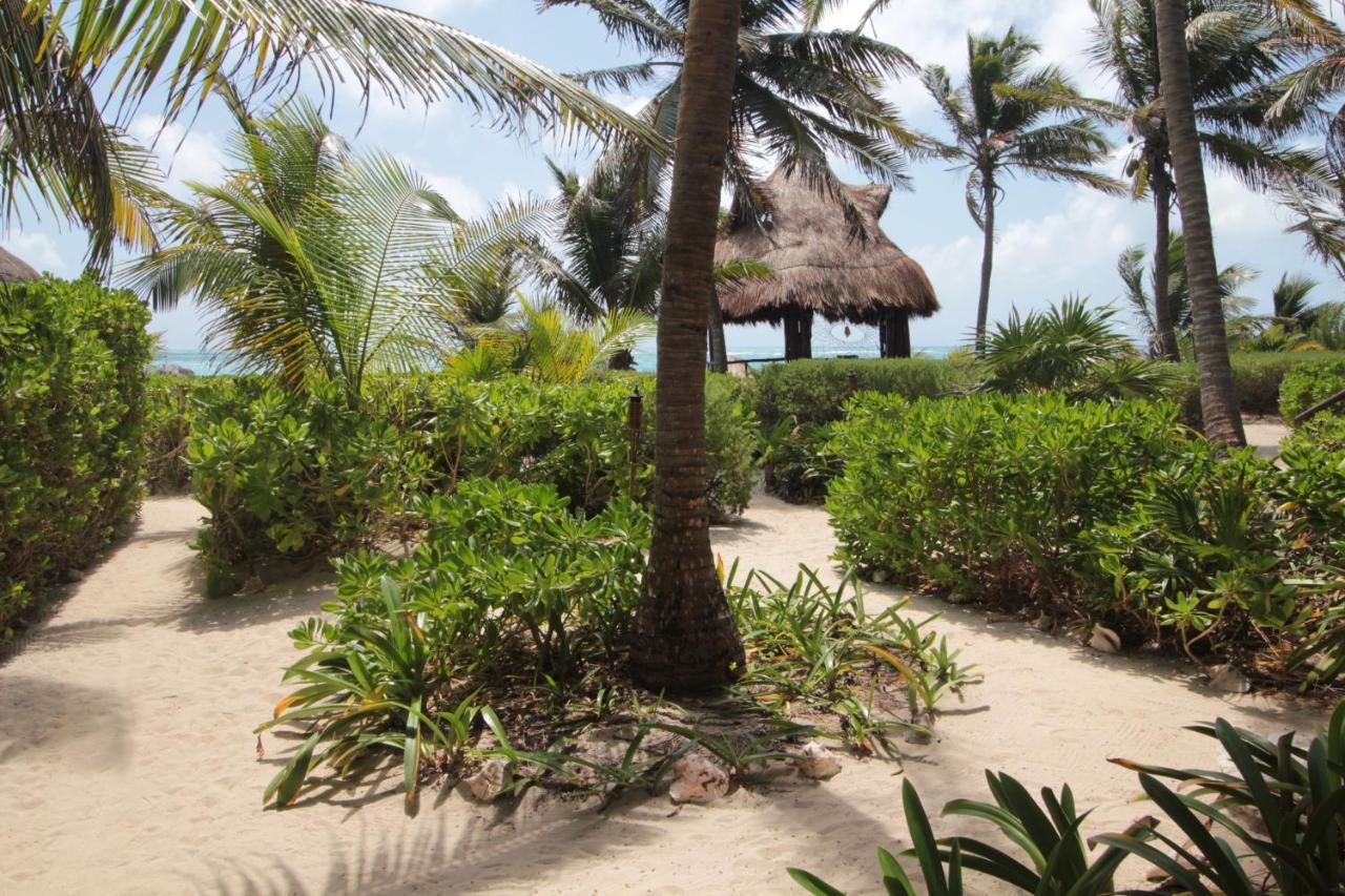 فندق Sol Caribe بونتا ألين المظهر الخارجي الصورة