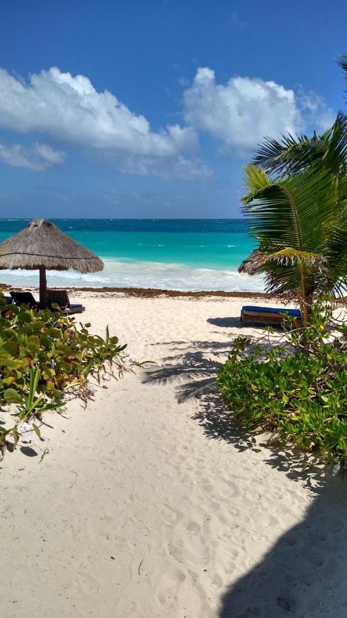 فندق Sol Caribe بونتا ألين المظهر الخارجي الصورة
