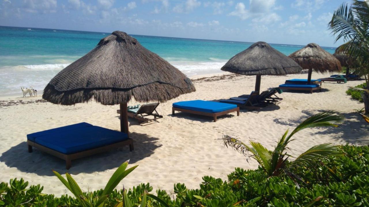 فندق Sol Caribe بونتا ألين المظهر الخارجي الصورة