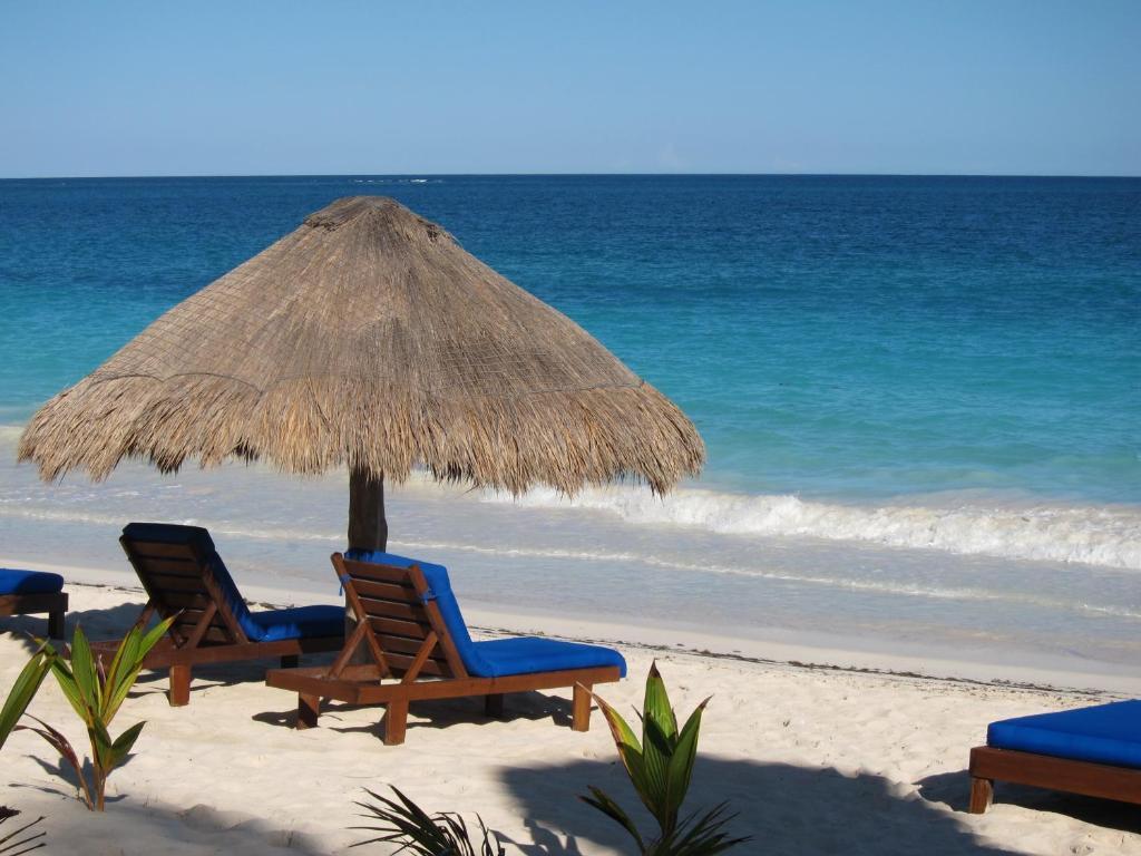 فندق Sol Caribe بونتا ألين المظهر الخارجي الصورة