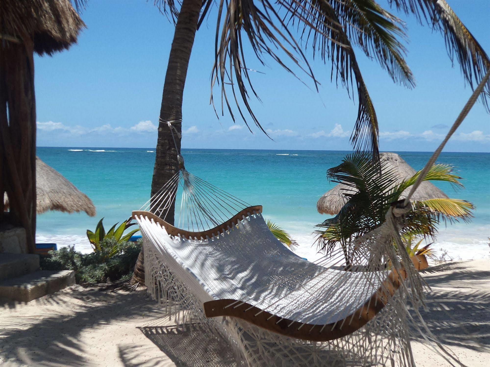 فندق Sol Caribe بونتا ألين المظهر الخارجي الصورة
